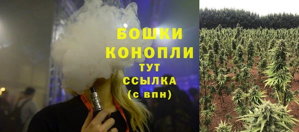 гашик Беломорск