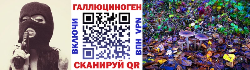 Галлюциногенные грибы Psilocybe  что такое наркотик  Фурманов 